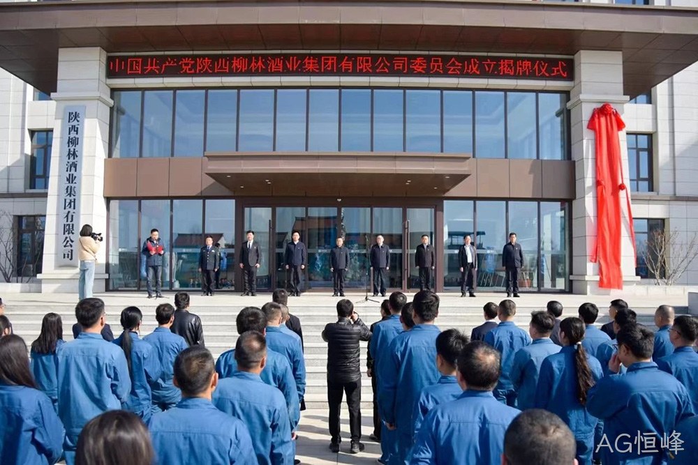 风劲帆满启新程 党建引领谱新篇 |中共AG恒峰委员会成立
